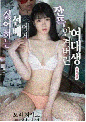 神马影院在线观看电视剧全集-梦华录